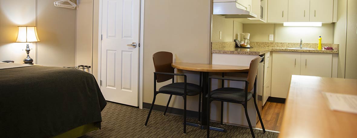 Annex Room with Sink, Microwave and Fridge